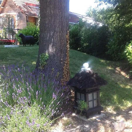 Bed and Breakfast La Demeure Des Tilleuls Châtenay